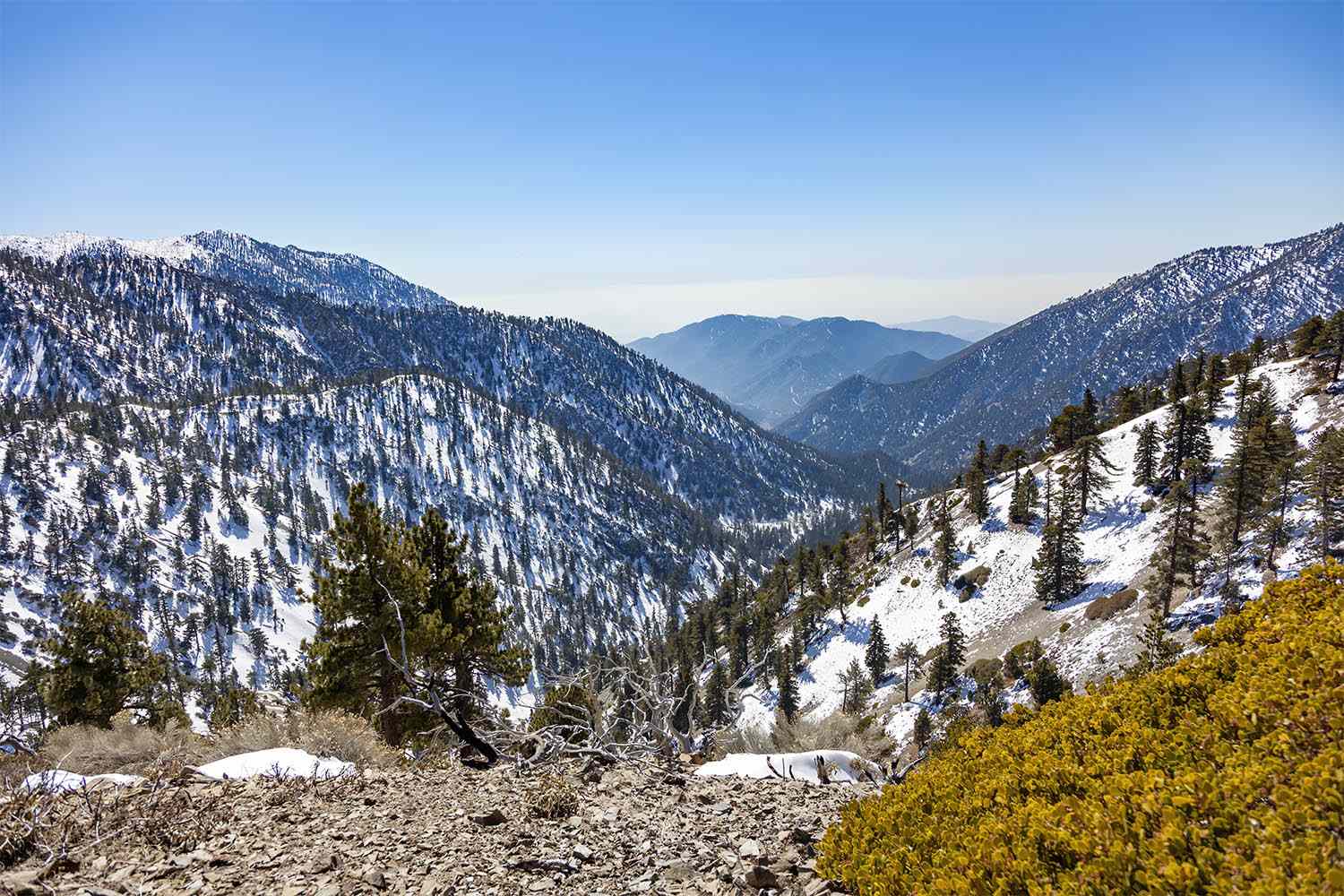 Police release identities of 2 remaining hikers found dead on Mt. Baldy ...