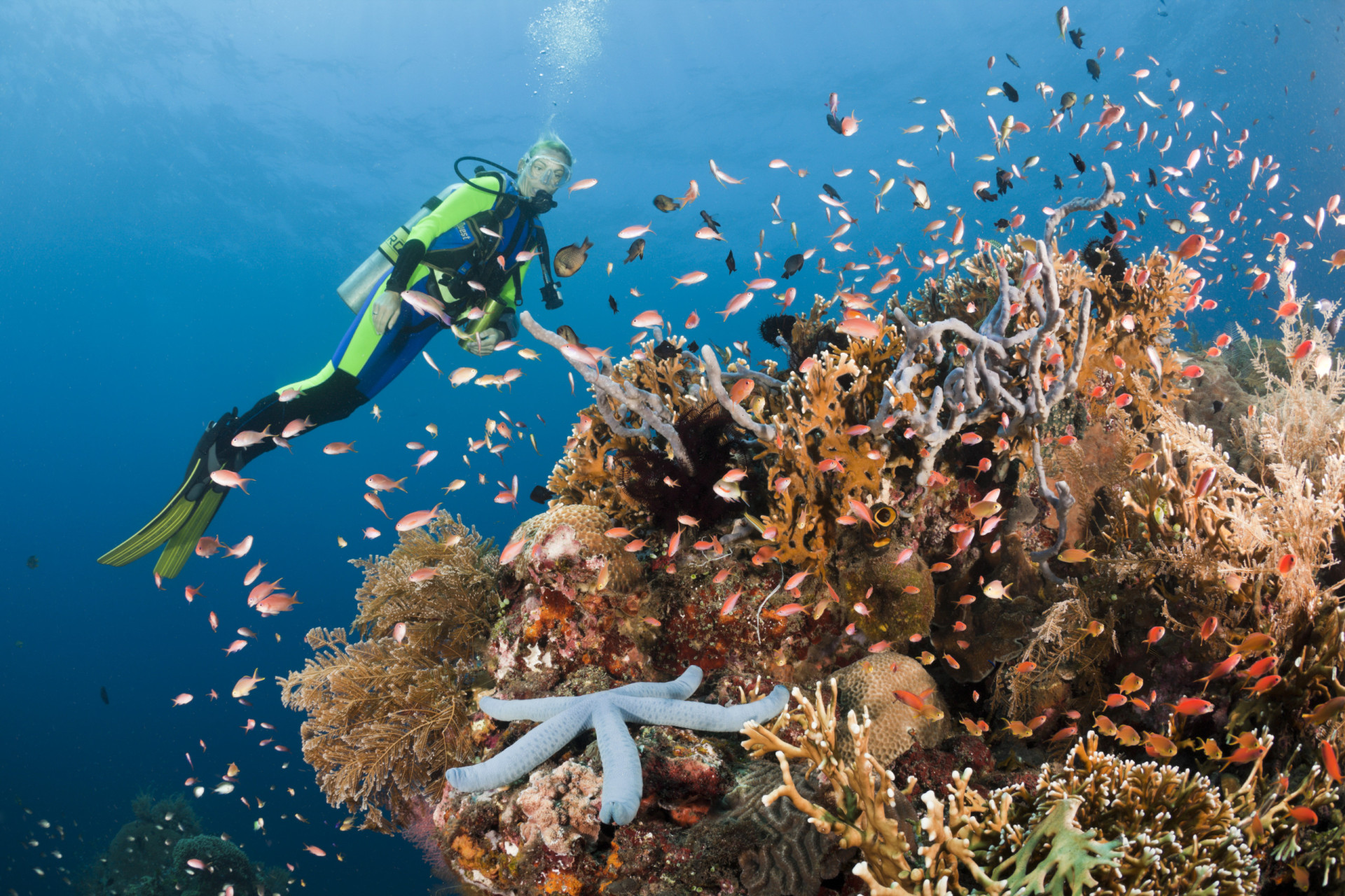 Most popular diving locations in the world