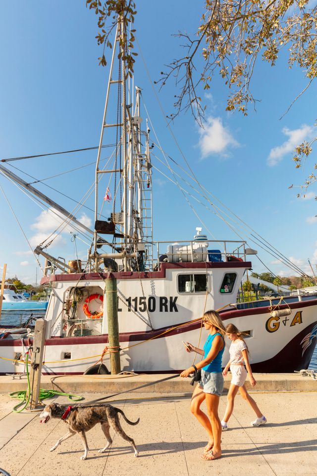 Historic Sponge Docks Tarpon Springs