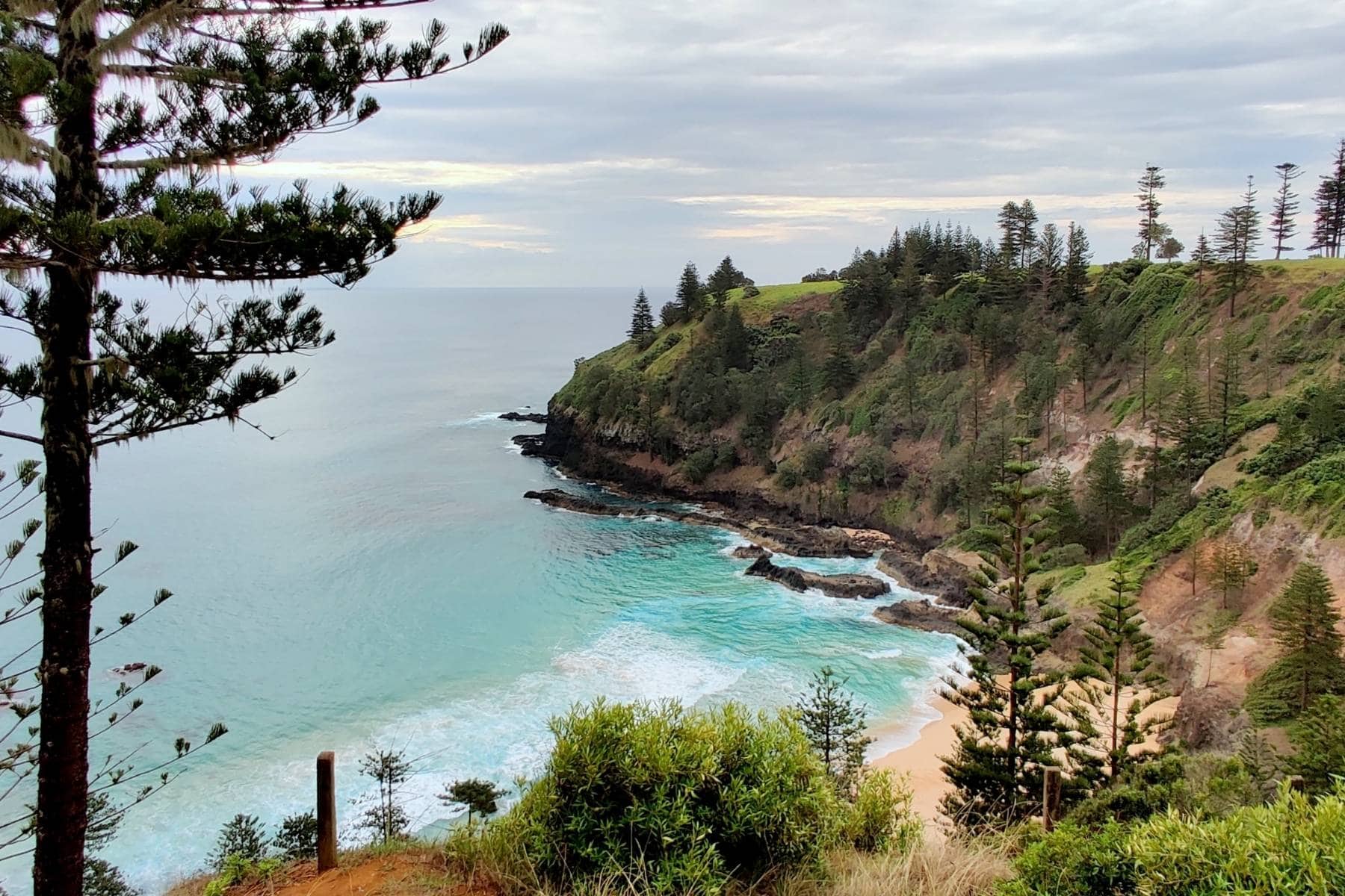 Island-hopping the eighth continent: A traveler’s guide to Zealandia