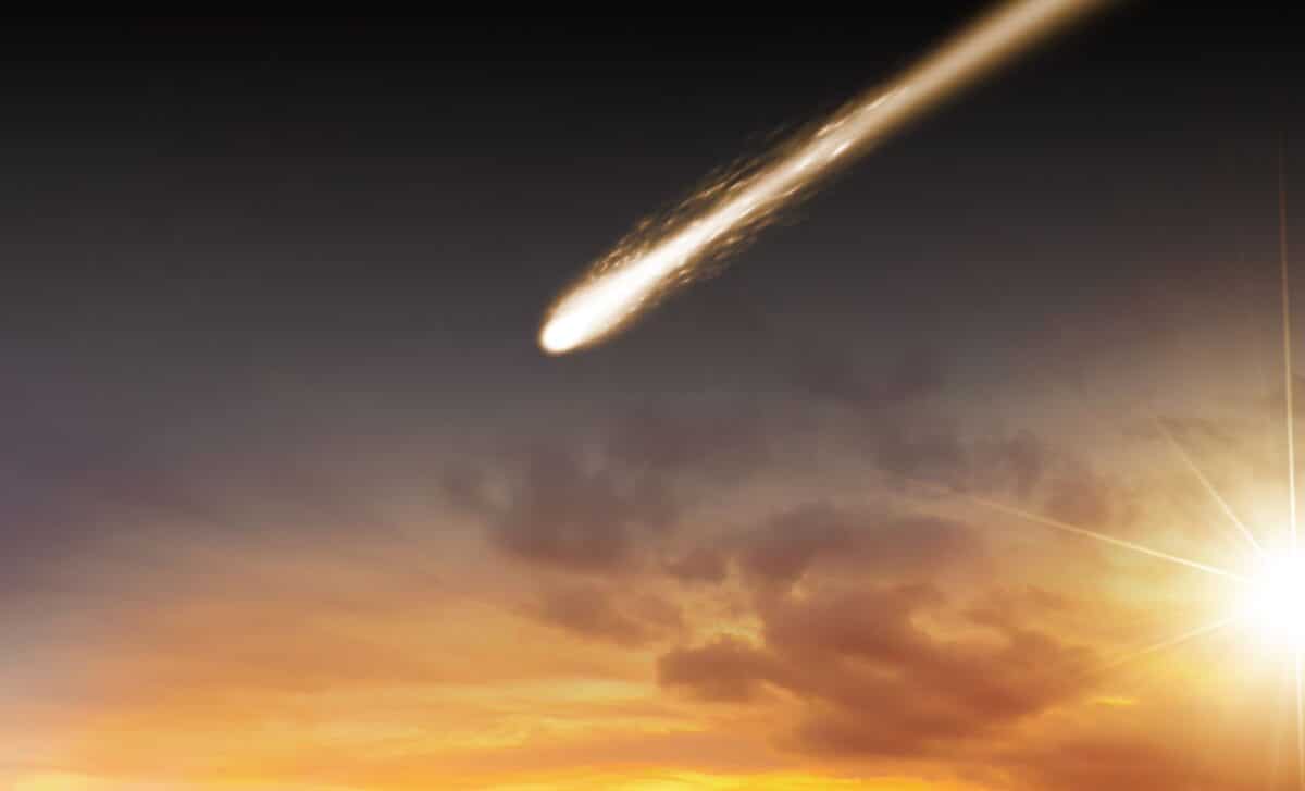 Scientists say a space explosion wiped out the mammoths, and humans too