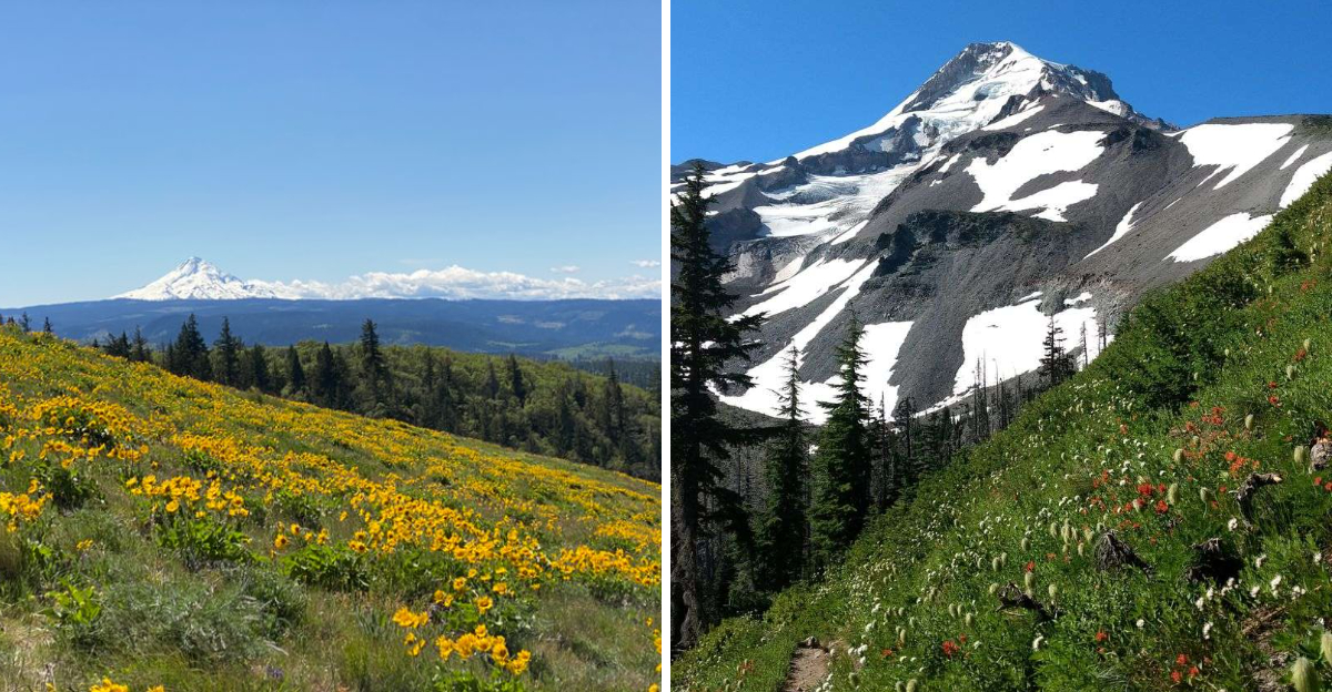 Scenic overlooks and nature walks across Oregon