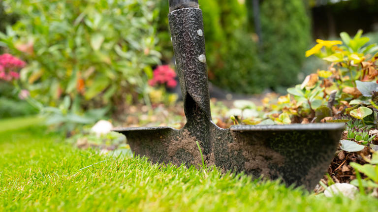 Why you should reconsider using plastic garden edging in your yard
