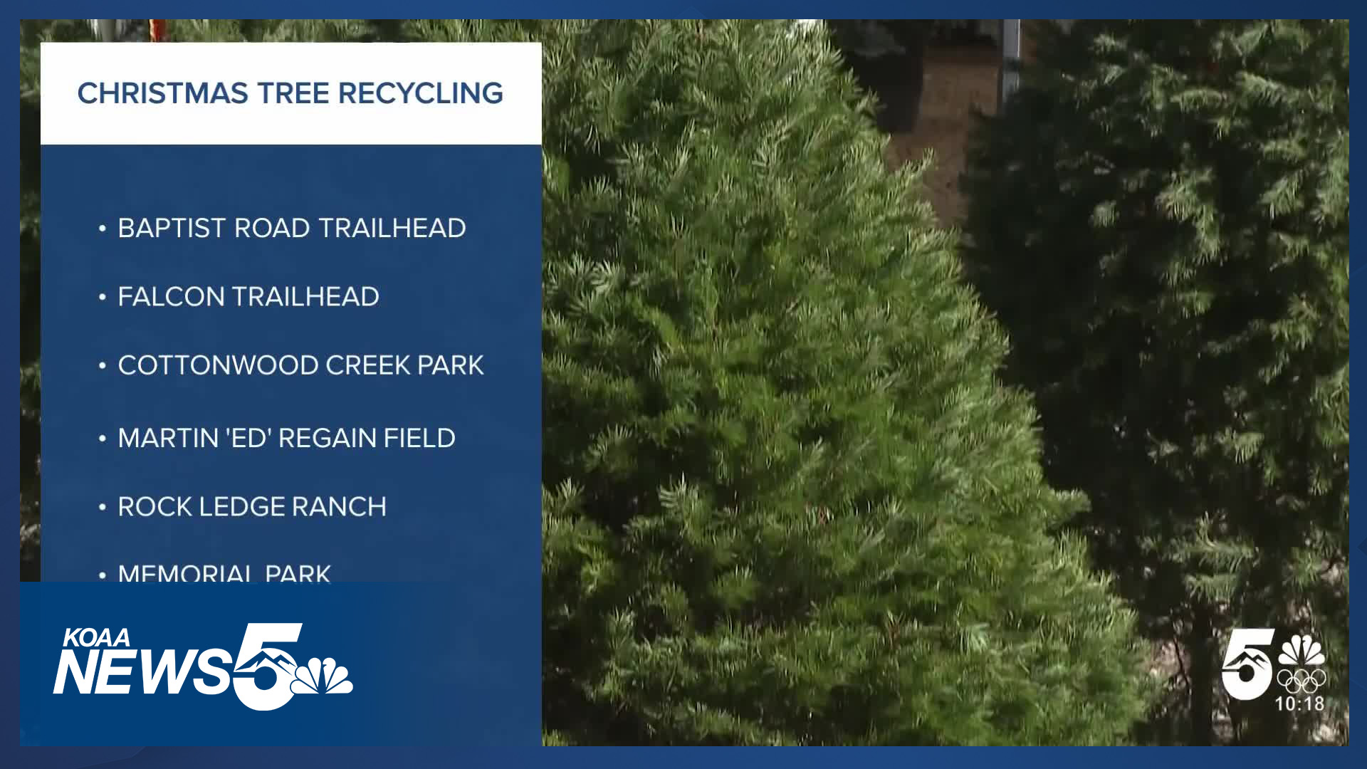 End of the holiday season means it's time to get rid of that Christmas tree