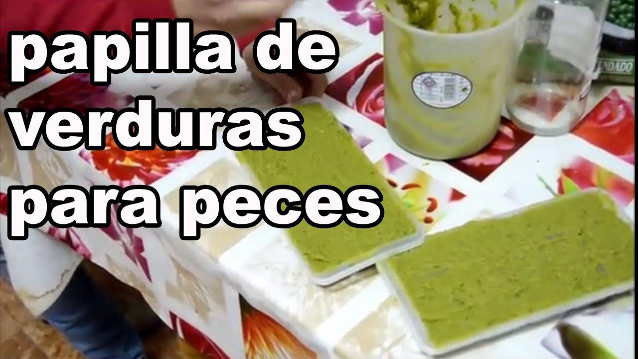 Comida Para Peces Moly Fin De Semana - 5 Pastillas, Alimentación Automática 48h