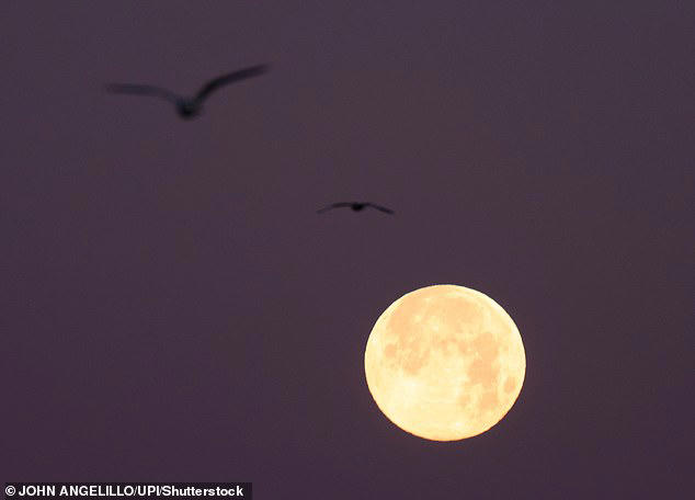 Super moon 'trifecta' causes intense flooding as terrified residents ...