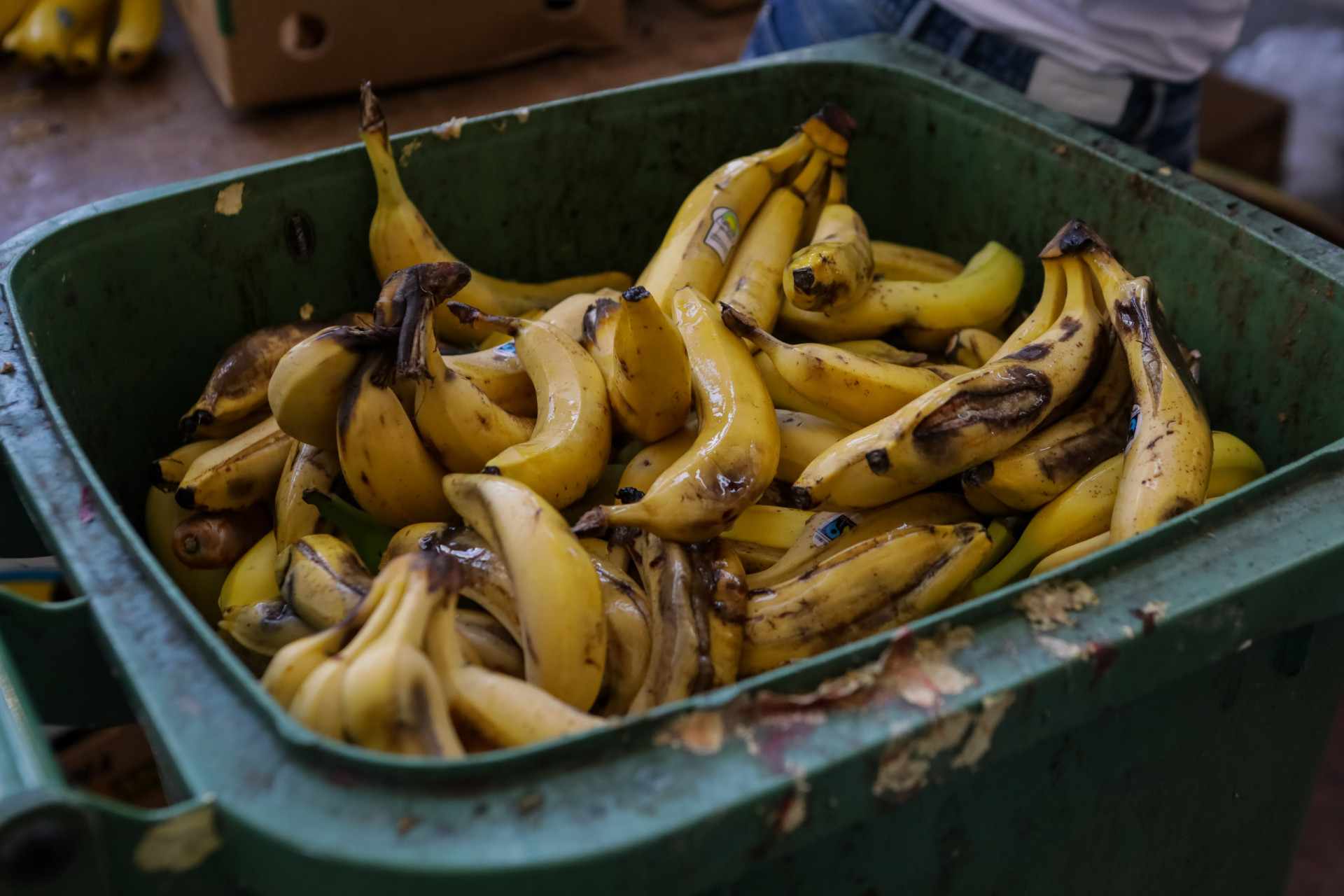 quels-pays-gaspillent-le-plus-leur-nourriture