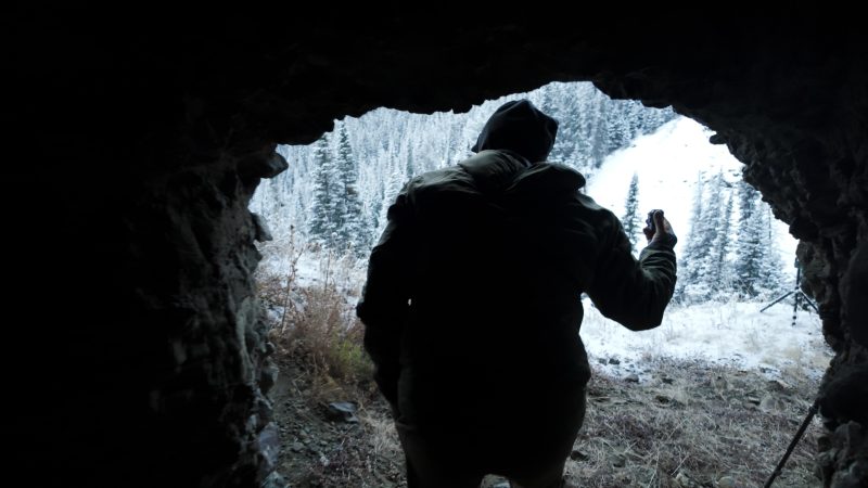 A filmmaker left a camera in a grizzly bear cave for 10 years. Here’s what he captured