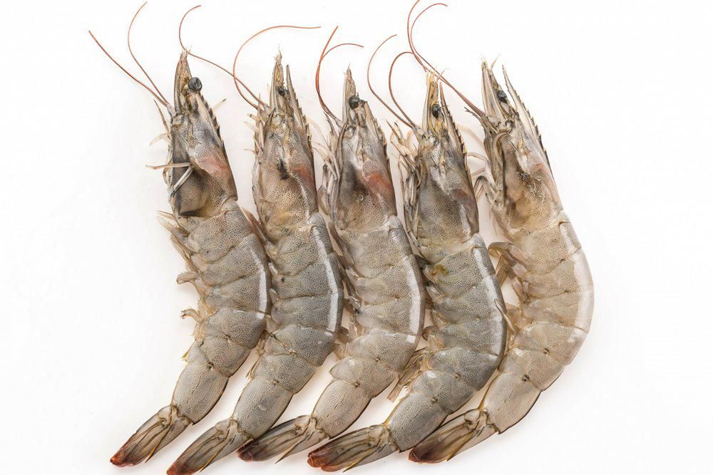 Resep udang bakar madu, cocok untuk disantap bersama keluarga!