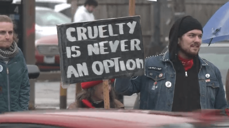 Photos: Stand Up for Peace protest