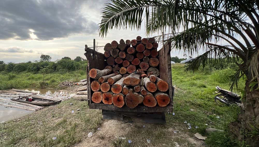 Ratusan batang kayu ilegal disita, dua terduga pelaku diamankan