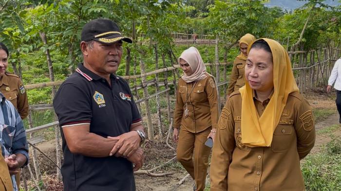 Pemkot Palu kembangkan 20 hektare lahan bawang merah di Petobo