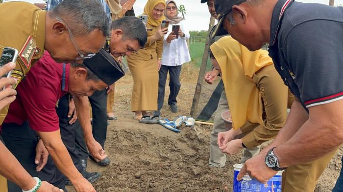 Produksi bawang merah lokal Palu digenjot, Petobo siap jadi sentra hortikultura