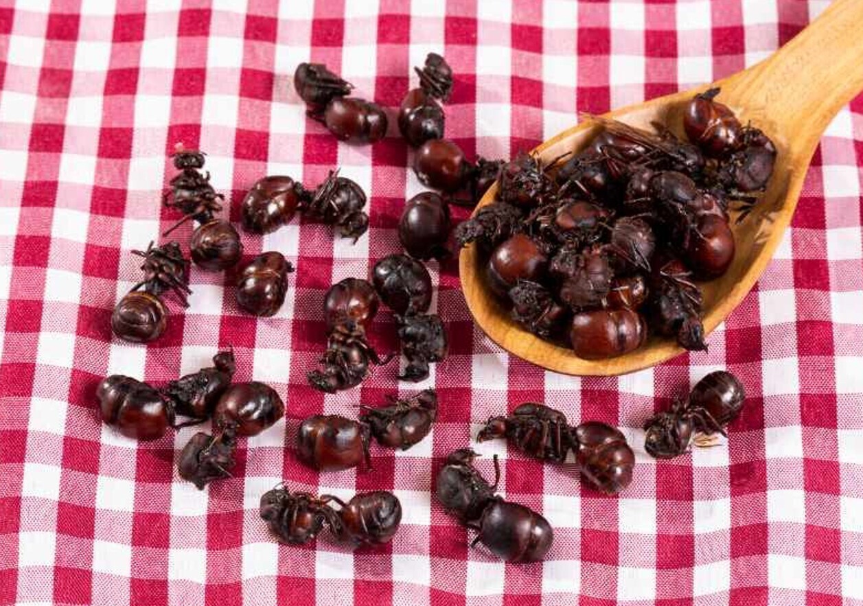 Street foods around the world we'll politely decline