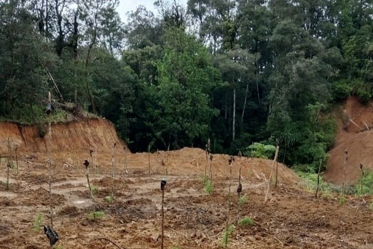 Kasus perambahan hutan lindung di Gowa, polisi tetapkan satu tersangka