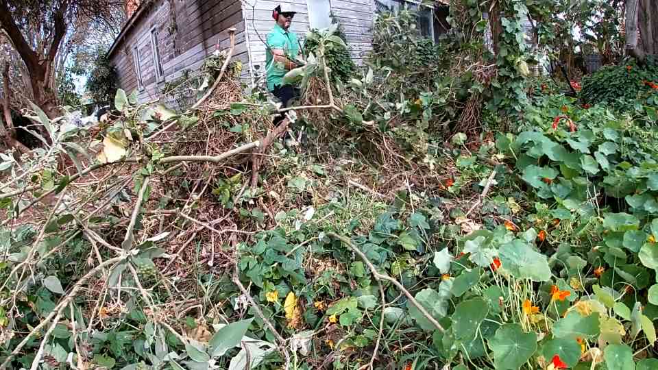 This overgrown jungle was hiding in plain sight