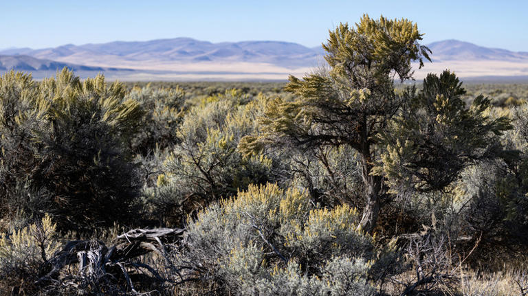 The Oregon Outback's 5 best spots for dark sky stargazing