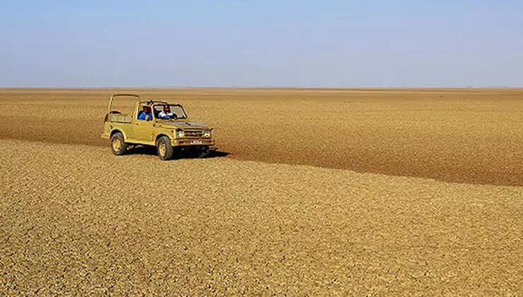 The desert hotel experience in Kutch you actually need