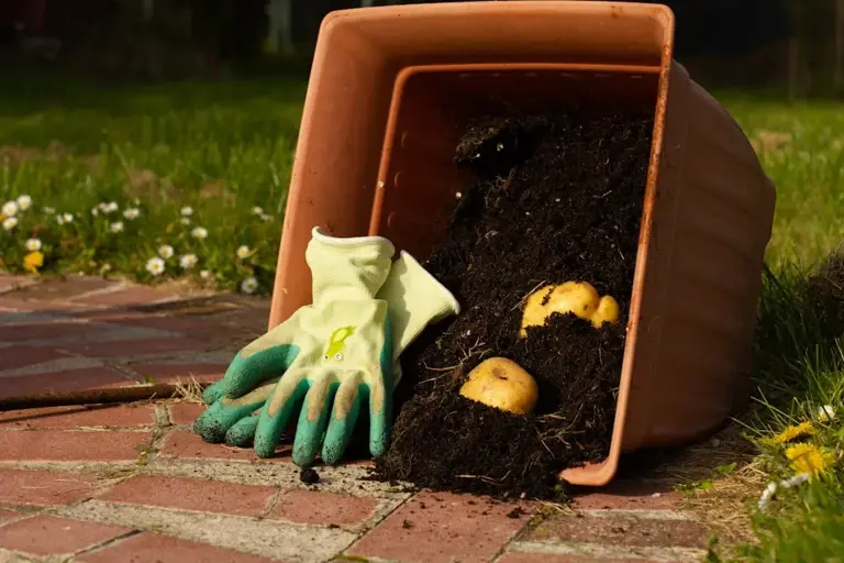 Composting could be doing more damage than good - here's why