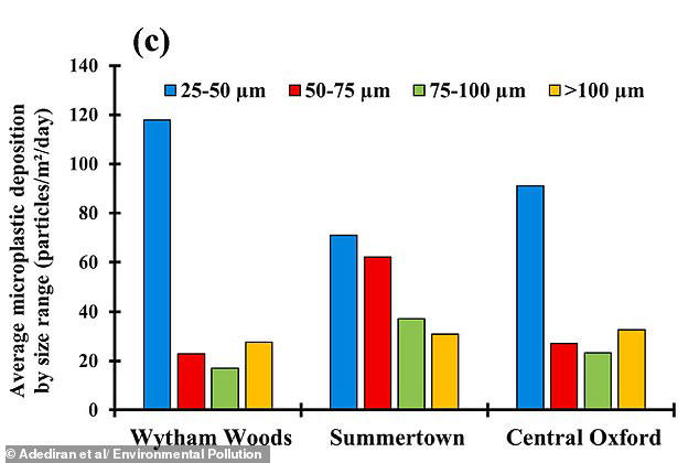 Researchers discovered nearly double the amount of tiny toxic particles in rural areas such as Wytham Woods compared to Oxford city centre