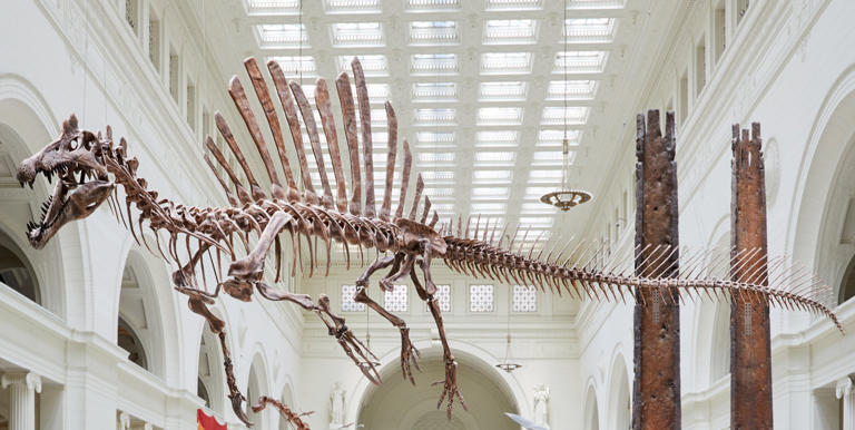 National Natural History Museum can't be delayed