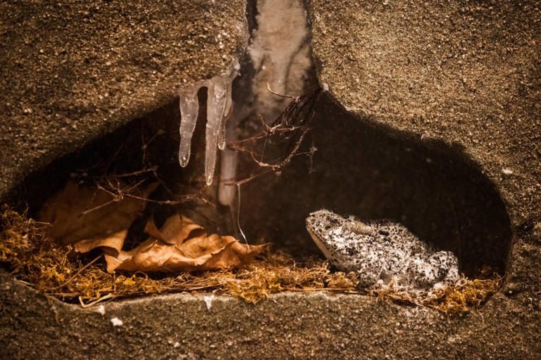 Composting could be doing more damage than good - here's why