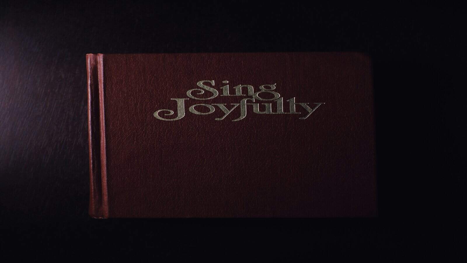 Josephus Identifies James, the Brother of Jesus