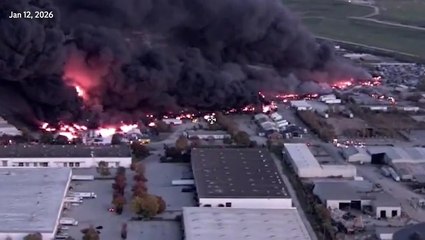 New footage shows scale of destruction after UPS plane crash in Kentucky