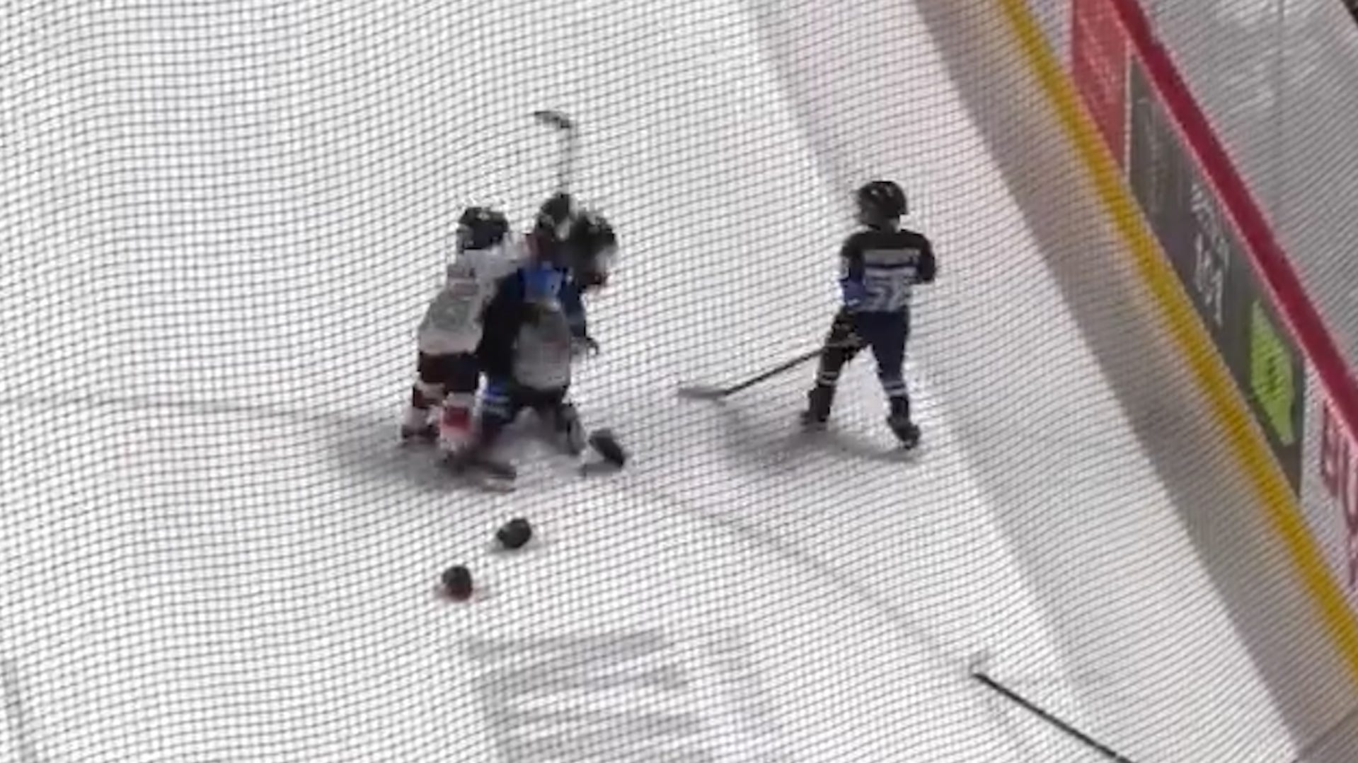 Brawl at AHL kids hockey event leads to AAHA investigation