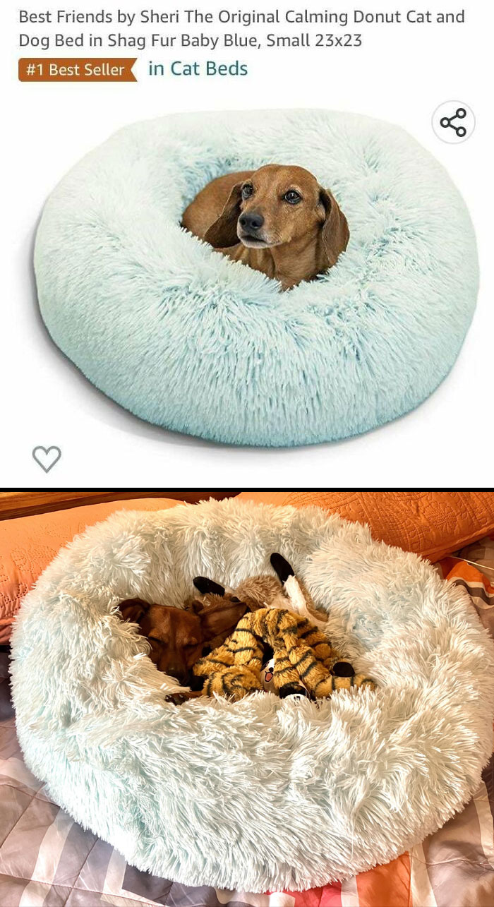 30 ‘Expectation Vs. Reality’ Moments That Exceeded Expectations