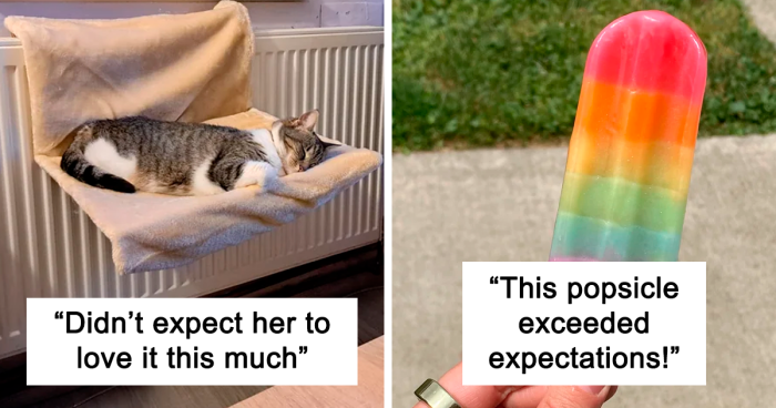 30 ‘Expectation Vs. Reality’ Moments That Exceeded Expectations
