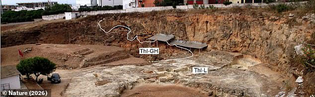 Evolution debate reignited after 'missing link' found in 700,000-year ...