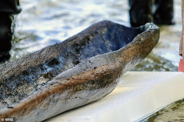 Prehistoric discoveries beneath a US lake found to be older than Egypt ...
