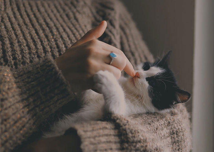 “Bin The Dating Apps”: 25 Women Are Sharing Their Favorite Life Hacks