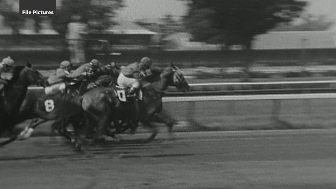 Triple Crown-winning saddle up for auction