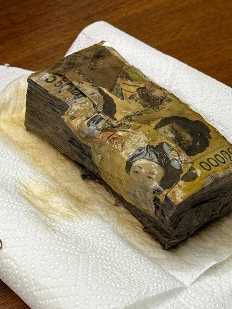 Связка купюр по 50 000 вон застряла из-за влаги. Хранящийся на складе, он повреждается. /Банк Кореи