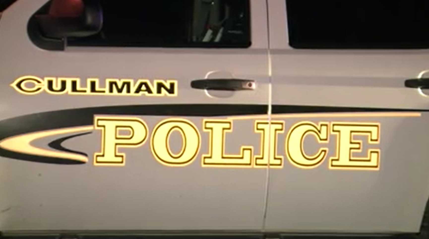 South Carolina man charged with attempted murder in Cullman grocery ...