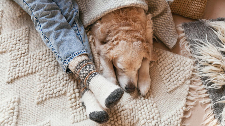 Warm up common areas of your home with a small, cozy solution