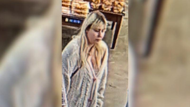Fargo police seek security footage in missing woman case