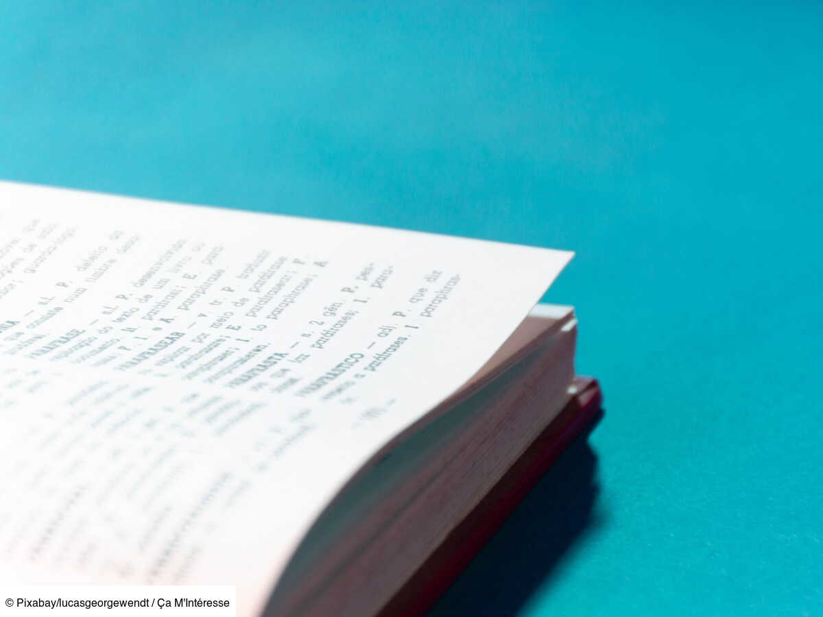 Quelle est la différence entre « cour », « cours » et « court