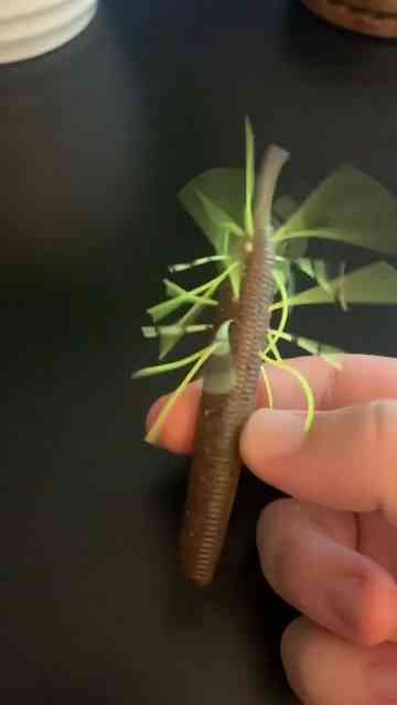 This lure is crazy! How would you rig it?