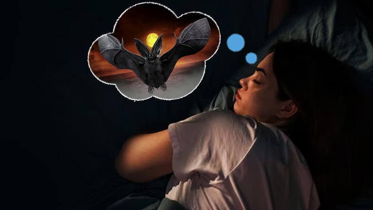 স্বপ্নে বাদুড় দেখা কি খারাপ?