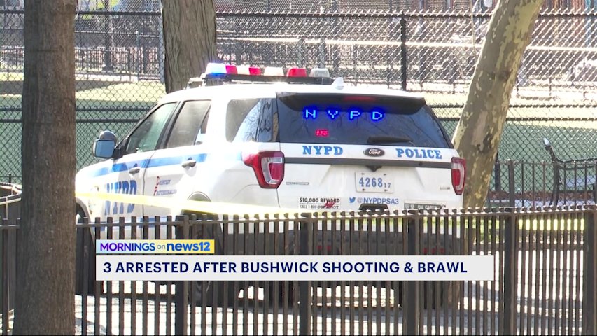 Three arrested after shooting and brawl outside Bushwick NYCHA building