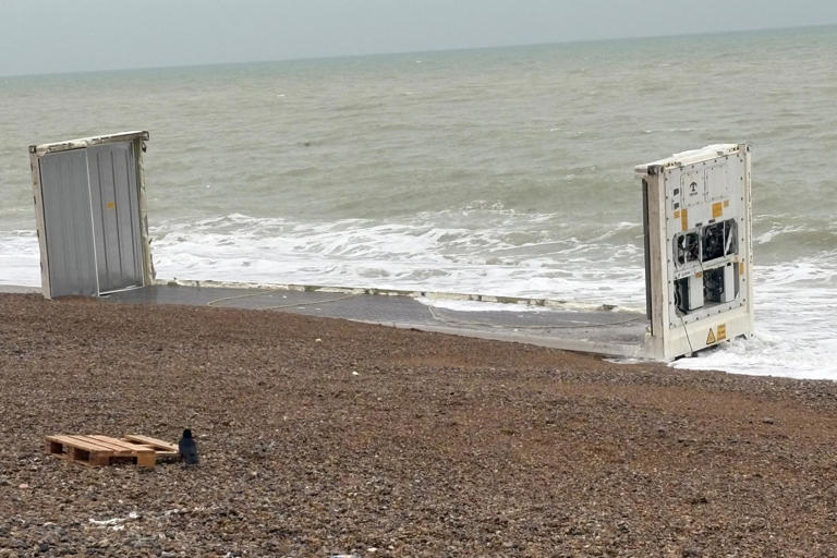 Photos show shipping container washed up on Seaford beach in East ...