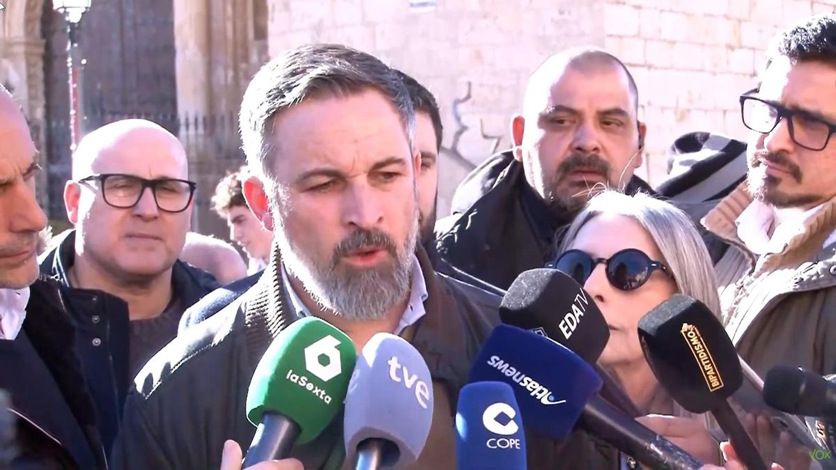 Abascal asegura que las denuncias contra Julio Iglesias son un plan del ...
