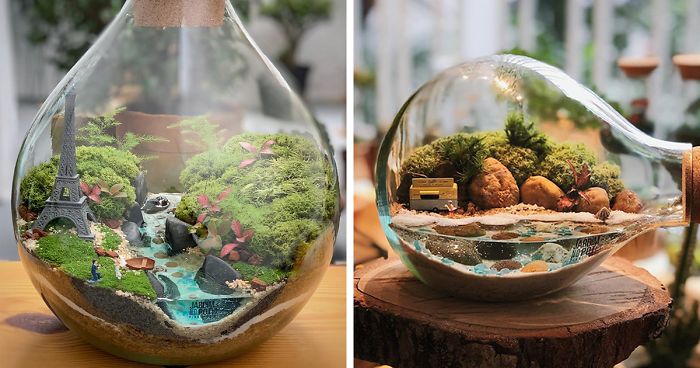 Miniature worlds: 30 self-sustaining ecosystems in glass