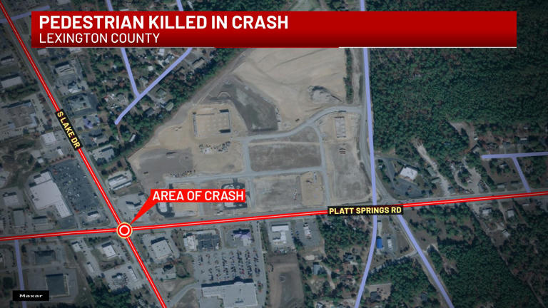 Coroner IDs man killed after being hit by vehicle in Lexington County