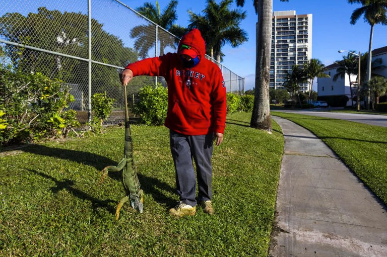 Rare deep freeze underway in Florida as intensifying bitter blast ...