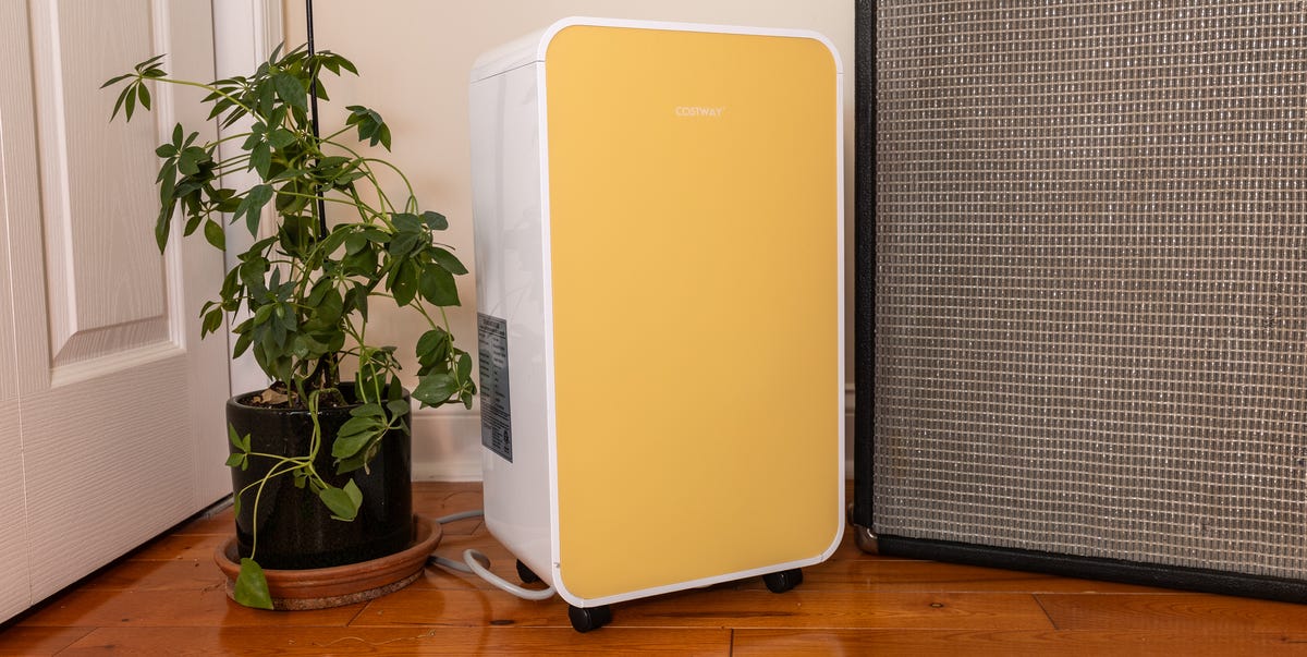 Got a musty attic or damp basement? These dehumidifiers pull pints of excess moisture from the air