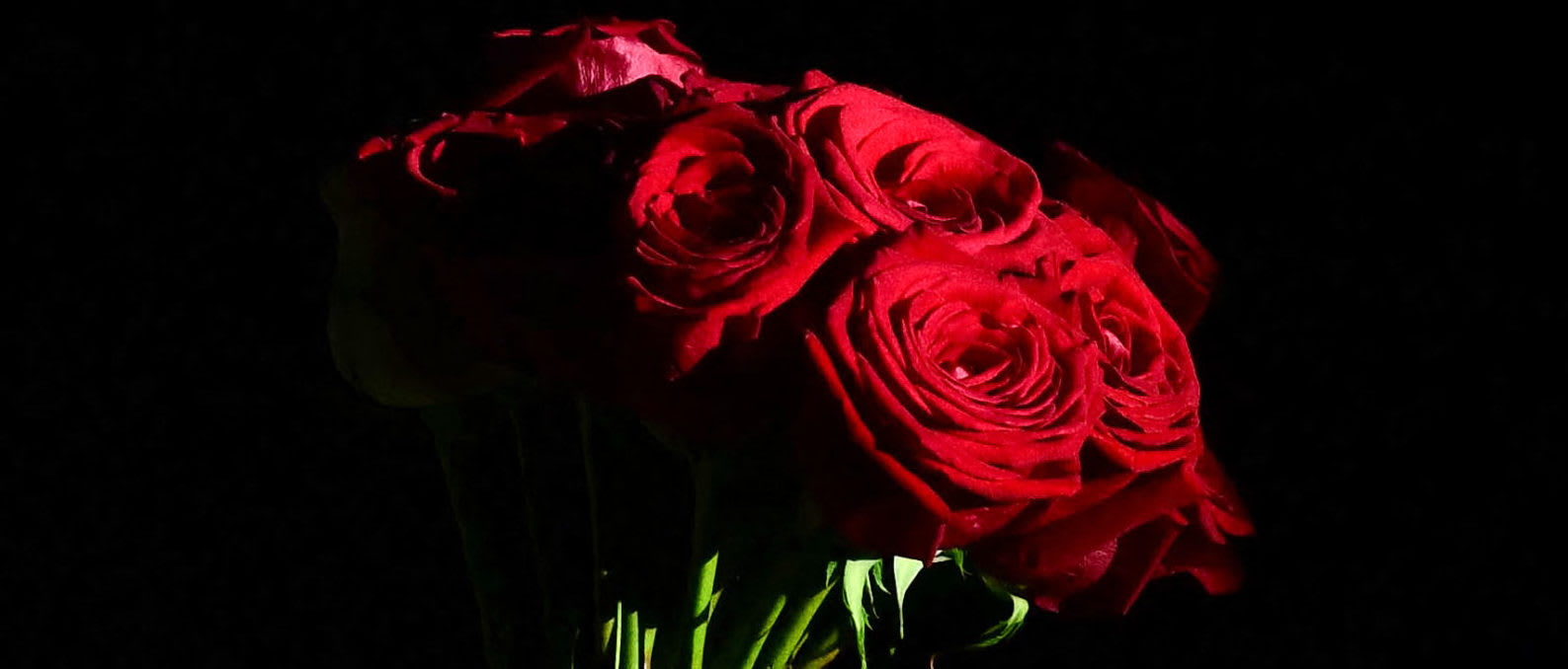 Donald Trump leads starstudded outpouring of tributes to Scott Adams